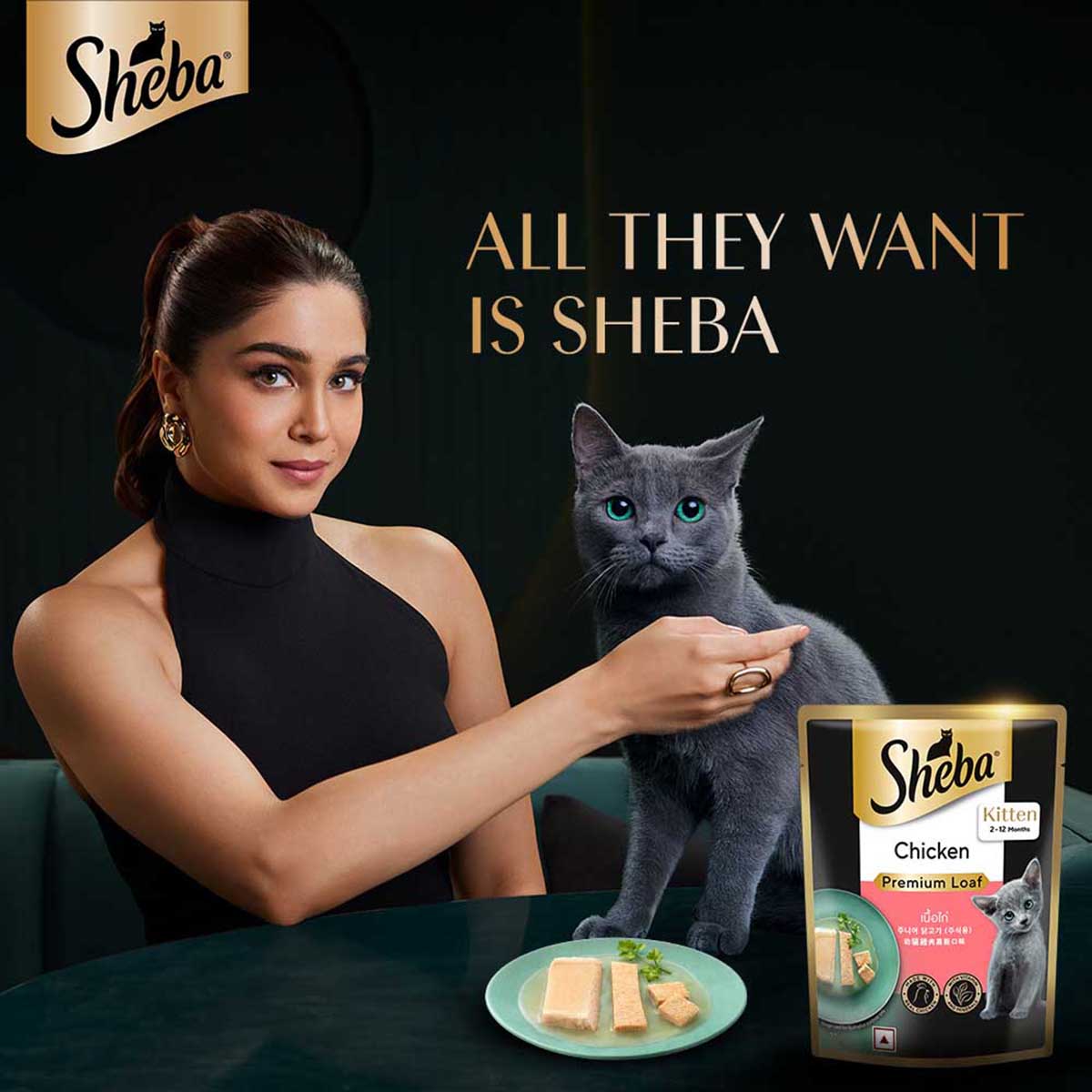 Sheba Rich Premium Chicken Loaf Fine Wet Cat Food - All Breed Kitten (2-12 Months) - 70g