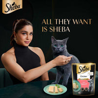 Sheba Rich Premium Chicken Loaf Fine Wet Cat Food - All Breed Kitten (2-12 Months) - 70g