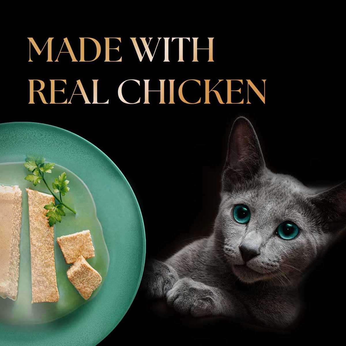 Sheba Rich Premium Chicken Loaf Fine Wet Cat Food - All Breed Kitten (2-12 Months) - 70g