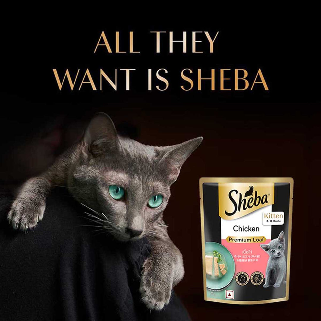 Sheba Rich Premium Chicken Loaf Fine Wet Cat Food - All Breed Kitten (2-12 Months) - 70g