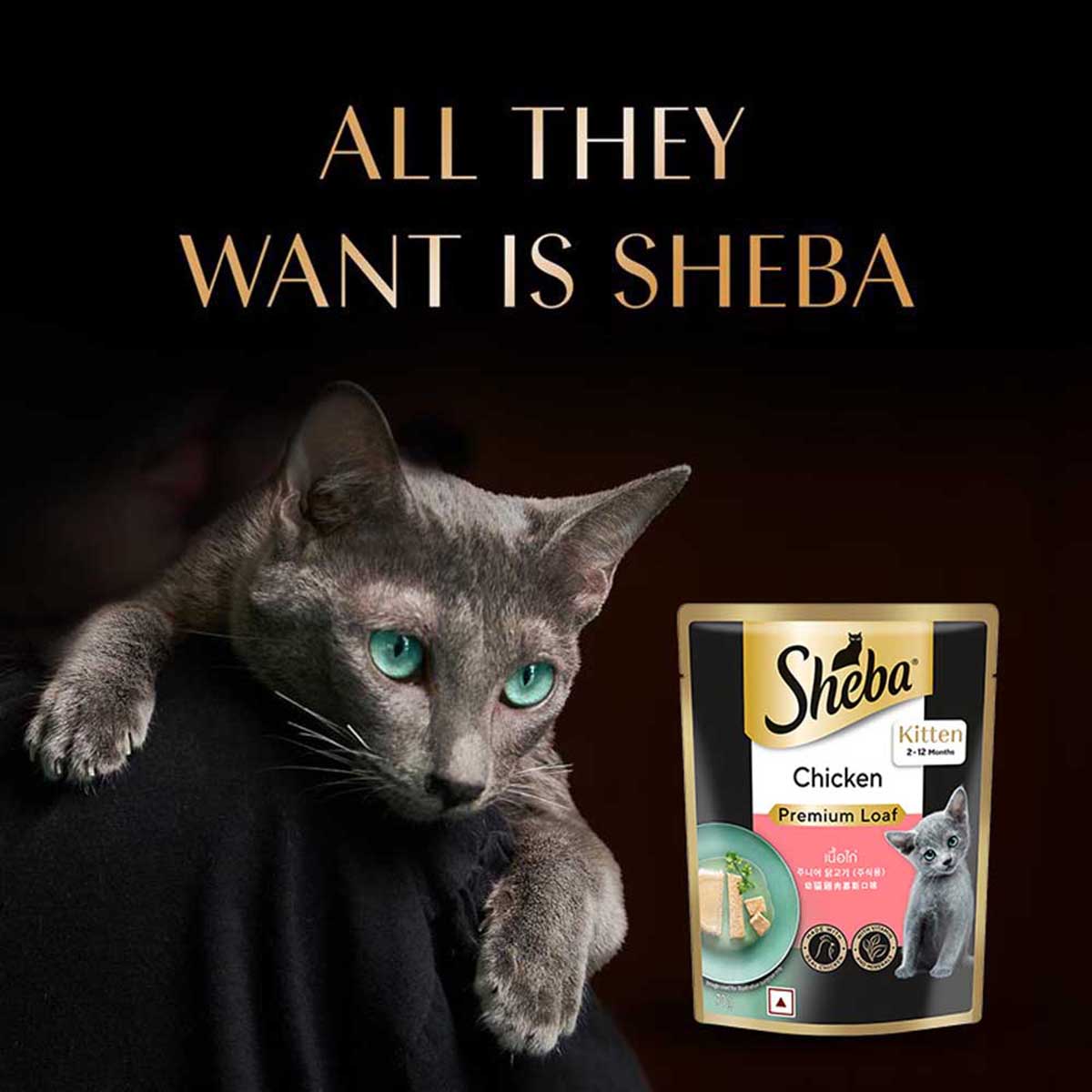 Sheba Rich Premium Chicken Loaf Fine Wet Cat Food - All Breed Kitten (2-12 Months) - 70g