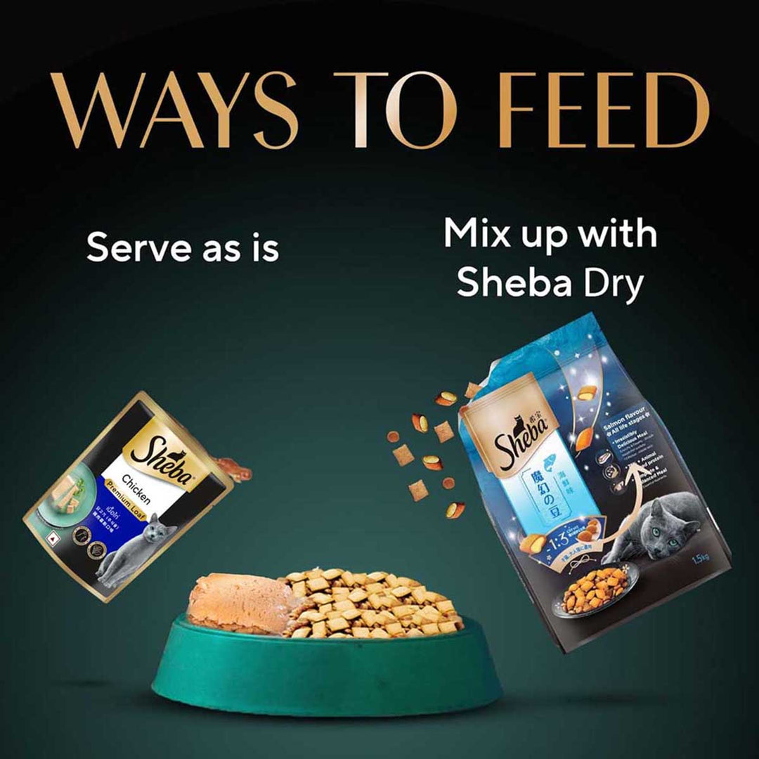 Sheba Rich Premium Chicken Loaf Fine Wet Cat Food - All Breed Adult (+1 Year) - 70g