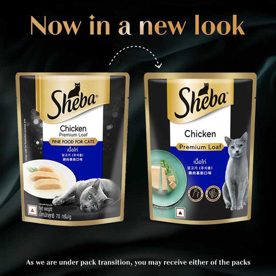 Sheba Rich Premium Chicken Loaf Fine Wet Cat Food - All Breed Adult (+1 Year) - 70g