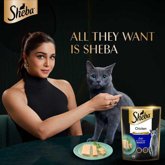 Sheba Rich Premium Chicken Loaf Fine Wet Cat Food - All Breed Adult (+1 Year) - 70g