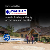 Sheba Rich Premium Chicken Loaf Fine Wet Cat Food - All Breed Adult (+1 Year) - 70g