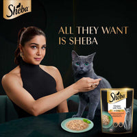 Sheba Rich Premium Chicken With Tuna In Gravy Fine Wet Cat Food - All Breed Adult (+1 Year) - 70g