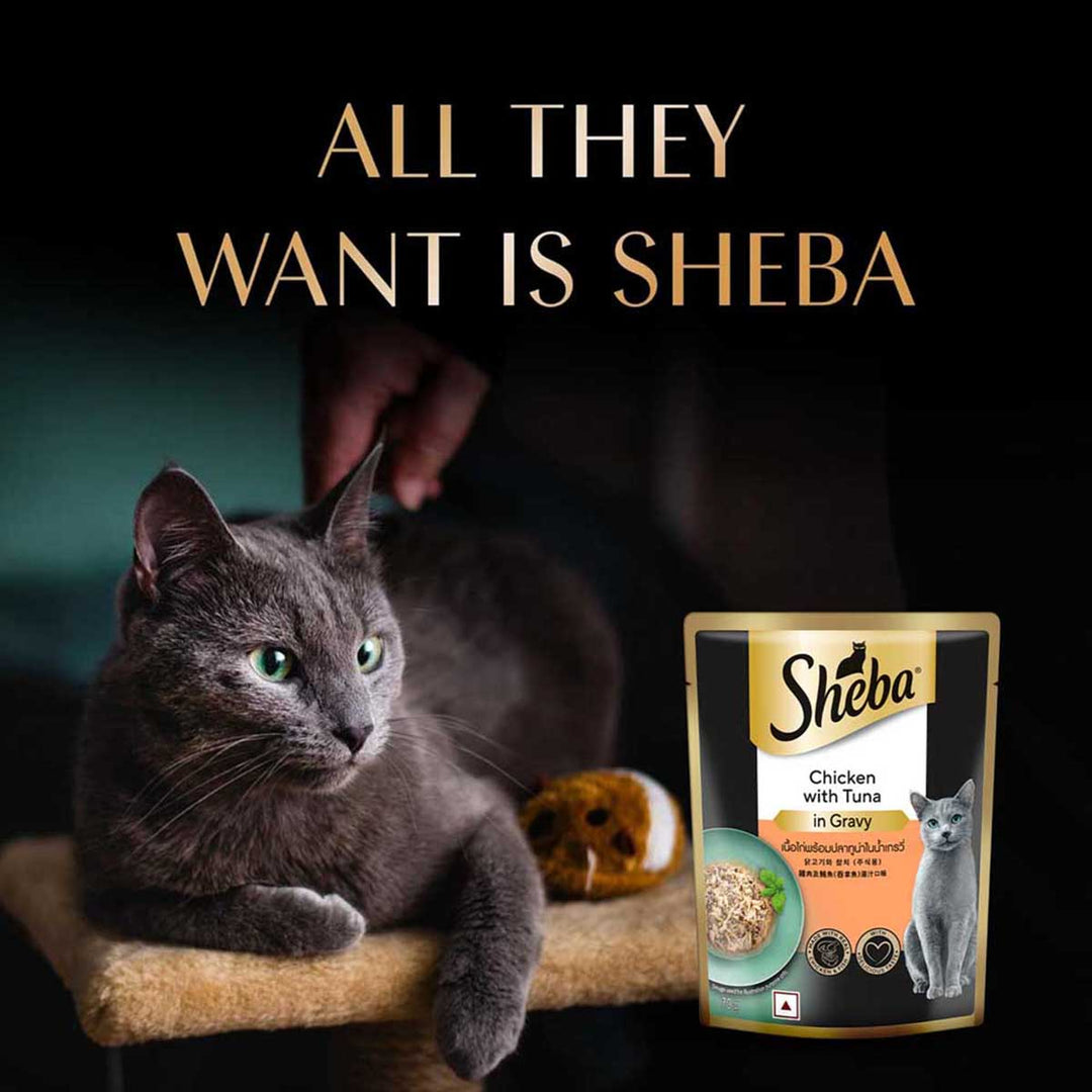 Sheba Rich Premium Chicken With Tuna In Gravy Fine Wet Cat Food - All Breed Adult (+1 Year) - 70g
