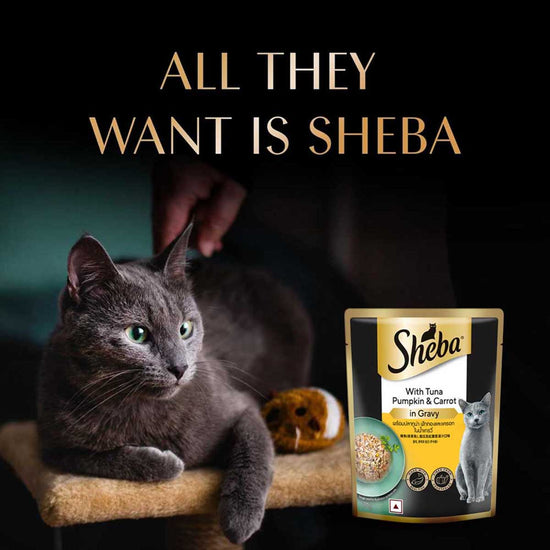 Sheba Rich Premium Tuna Pumpkin & Carrot In Gravy Fine Wet Cat Food - All Breed Adult (+1 Year) - 70g
