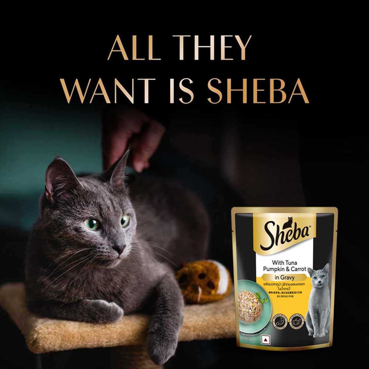Sheba Rich Premium Tuna Pumpkin & Carrot In Gravy Fine Wet Cat Food - All Breed Adult (+1 Year) - 70g