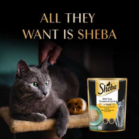 Sheba Rich Premium Tuna Pumpkin & Carrot In Gravy Fine Wet Cat Food - All Breed Adult (+1 Year) - 70g