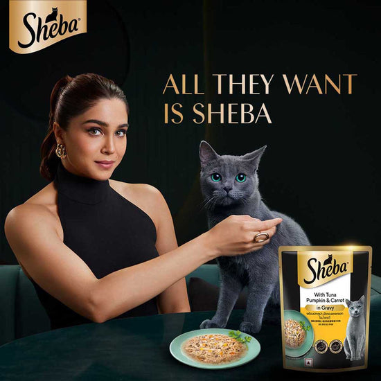 Sheba Rich Premium Tuna Pumpkin & Carrot In Gravy Fine Wet Cat Food - All Breed Adult (+1 Year) - 70g