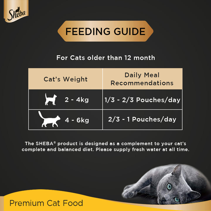 Sheba Rich Premium Tuna Pumpkin & Carrot In Gravy Fine Wet Cat Food - All Breed Adult (+1 Year) - 70g