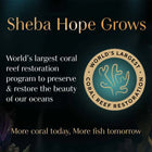 Sheba Rich Premium Tuna Pumpkin & Carrot In Gravy Fine Wet Cat Food - All Breed Adult (+1 Year) - 70g