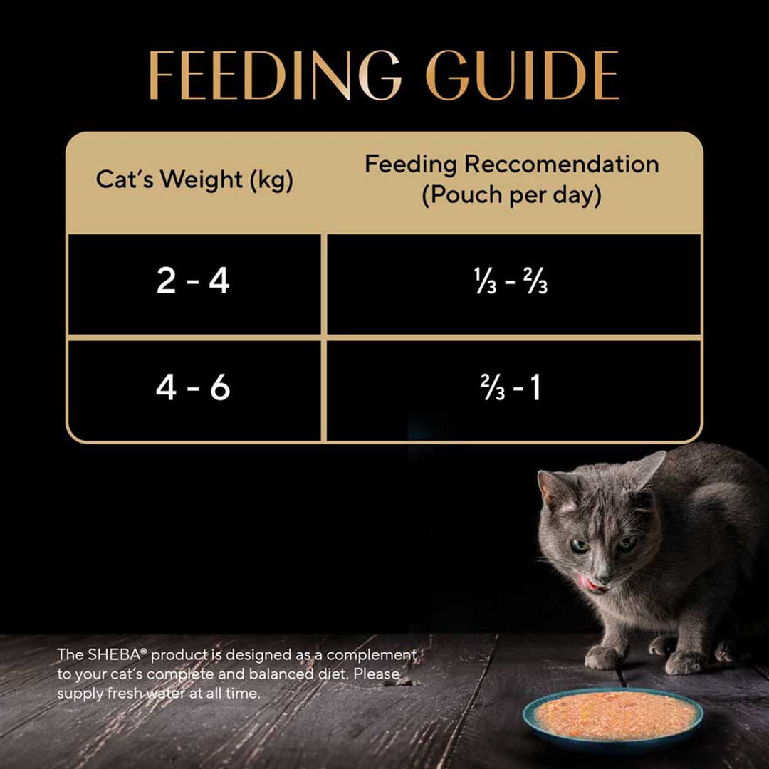 Sheba Rich Premium Tuna Pumpkin & Carrot In Gravy Fine Wet Cat Food - All Breed Adult (+1 Year) - 70g