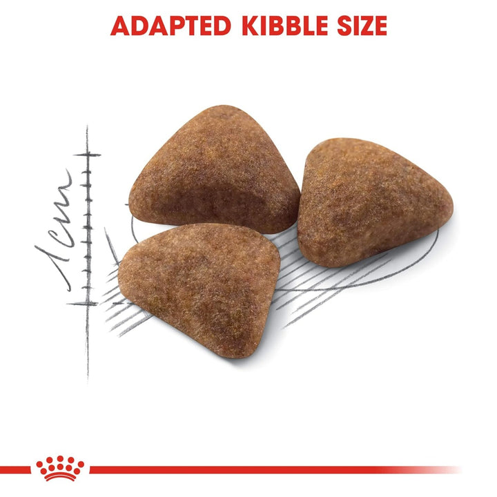 Royal Canin Indoor 27 Adult Dry Cat Food - All Breed - 400g