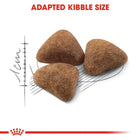 Royal Canin Indoor 27 adult dry cat food kibble size illustration from zigly