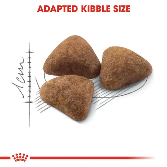 Royal Canin Indoor 27 adult dry cat food kibble size illustration from zigly