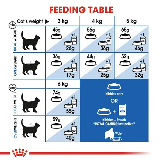 Royal Canin feeding table for adult cats available at zigly