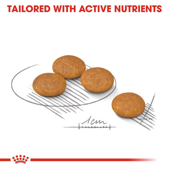 royal-canin-mini-dermacomfort-adult-dry-dog-food-1kg