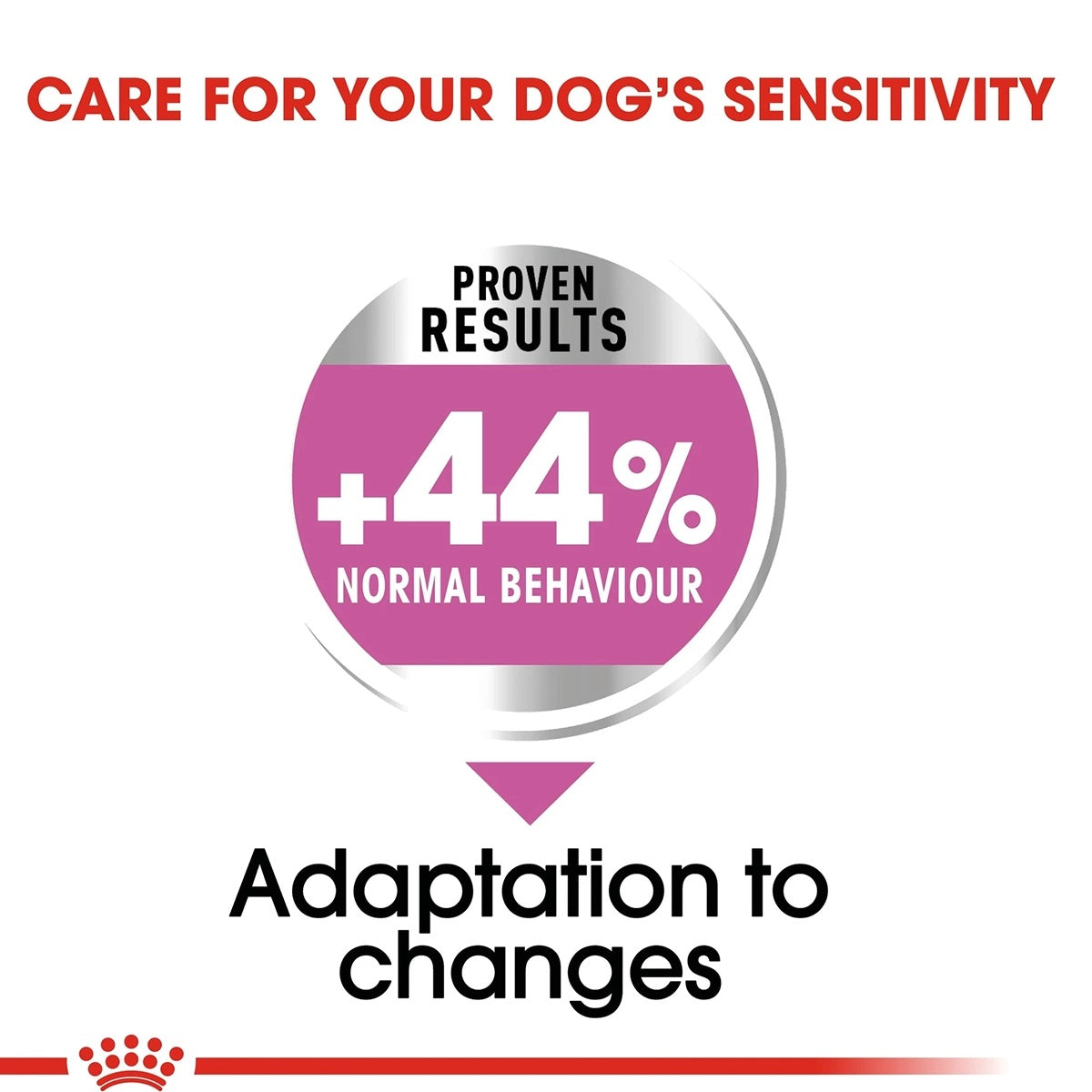 Royal Canin Mini Relax Care Adult Dry Dog Food - 1kg