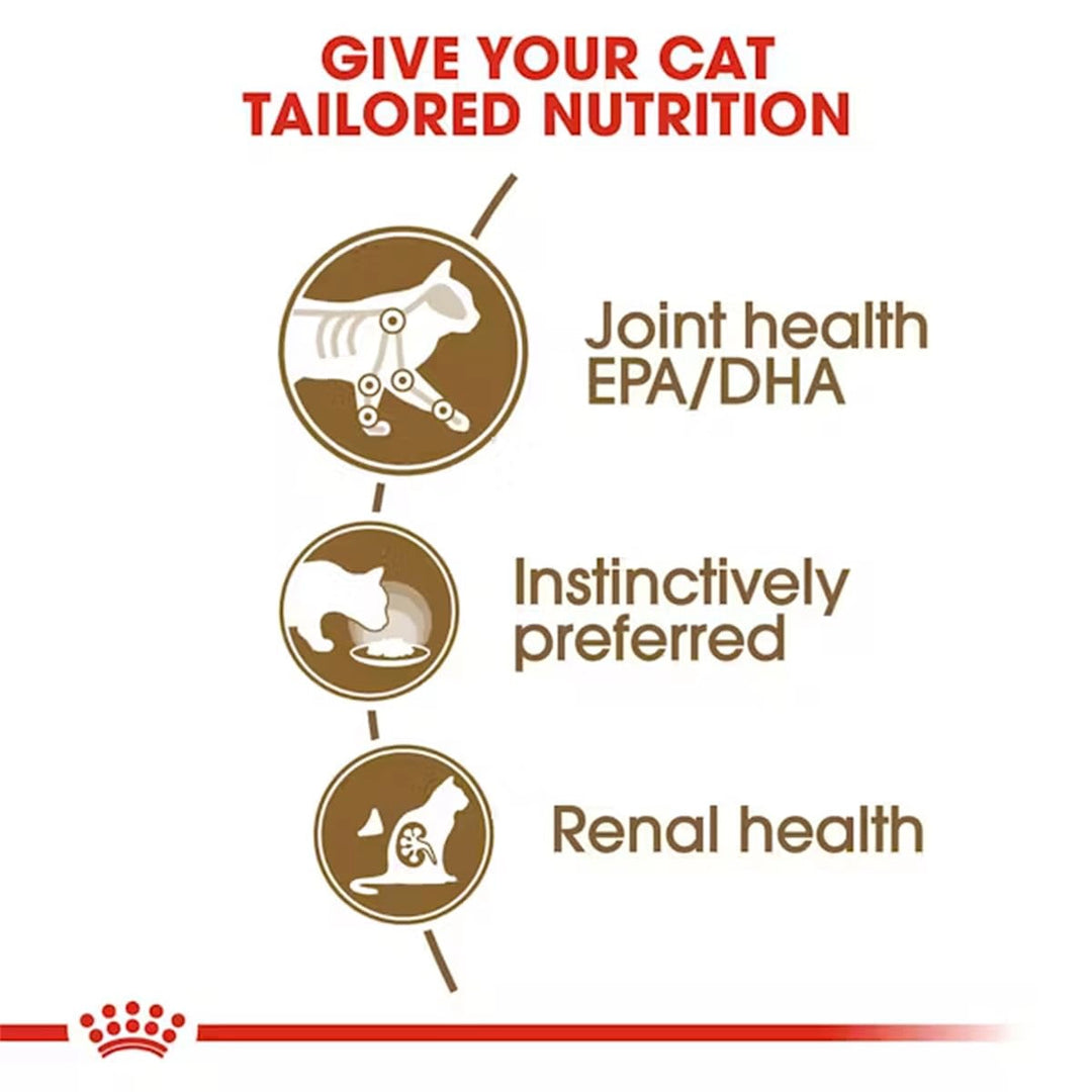 Royal Canin Senior Ageing 12+ Wet Cat Food