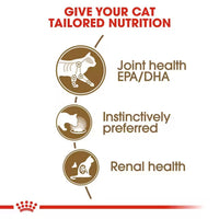 Royal Canin Senior Ageing 12+ Wet Cat Food