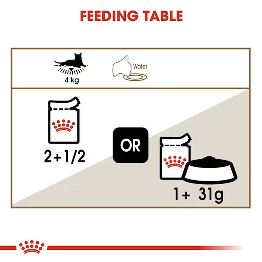 Royal Canin Senior Ageing 12+ Wet Cat Food
