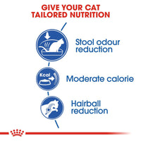 Royal Canin Indoor Dry Cat Food - All Breed Adult - 2kg