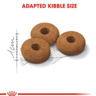 Royal Canin Appetite Control Sterilised Dry Cat Food - All Breed Adult - 2kg - Zigly
