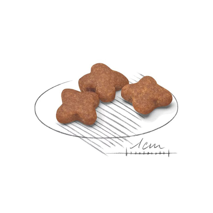 Royal Canin Mini Adult 8+ Dry Dog Food - 2kg