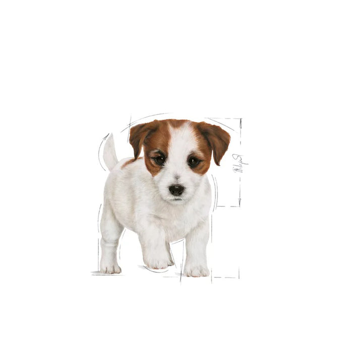 Royal Canin Mini Puppy Dry Dog Food