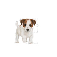 Royal Canin Mini Puppy Dry Dog Food