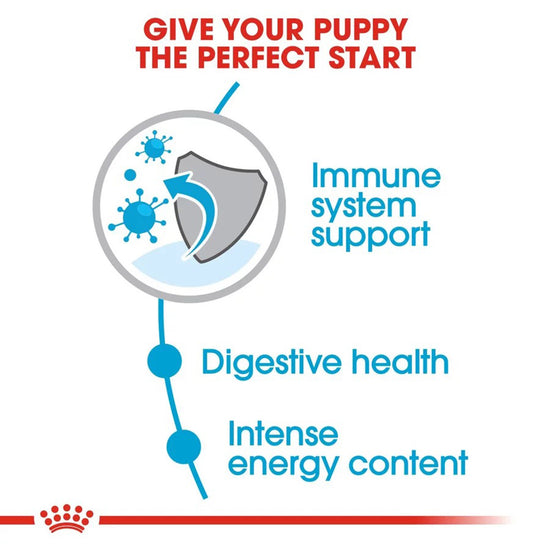 royal-canin-mini-puppy-dry-dog-food