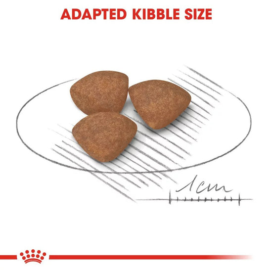 royal-canin-mini-puppy-dry-dog-food