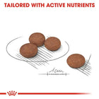 Royal Canin Mini Digestive Care Adult Dry Dog Food - 3kg - Zigly