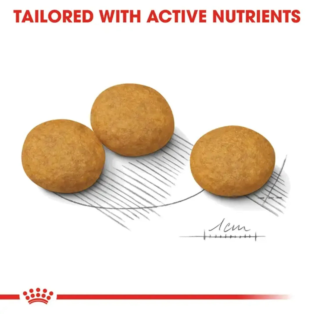 Royal Canin Medium Dermacomfort adult dry dog food kibble size guide from zigly