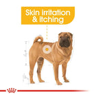 Royal Canin Medium Dermacomfort Adult Dog Dry Food - 3kg - Zigly