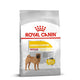 Royal Canin Medium Dermacomfort Adult Dog Dry Food - 3kg - Zigly