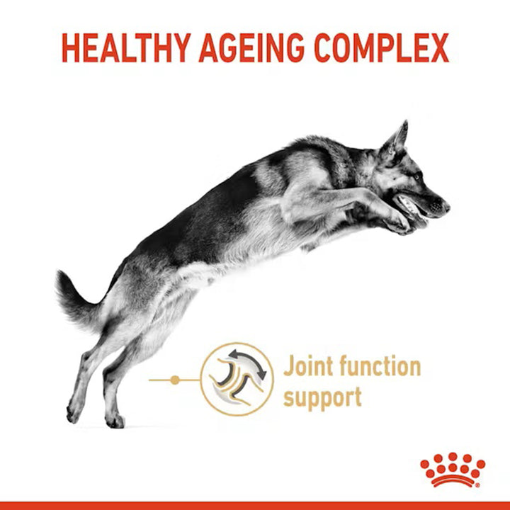 Royal Canin German Shepherd 5+ Years Adult Dry Dog Food - 3kg