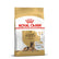 Royal Canin German Shepherd 5+ Years Adult Dry Dog Food