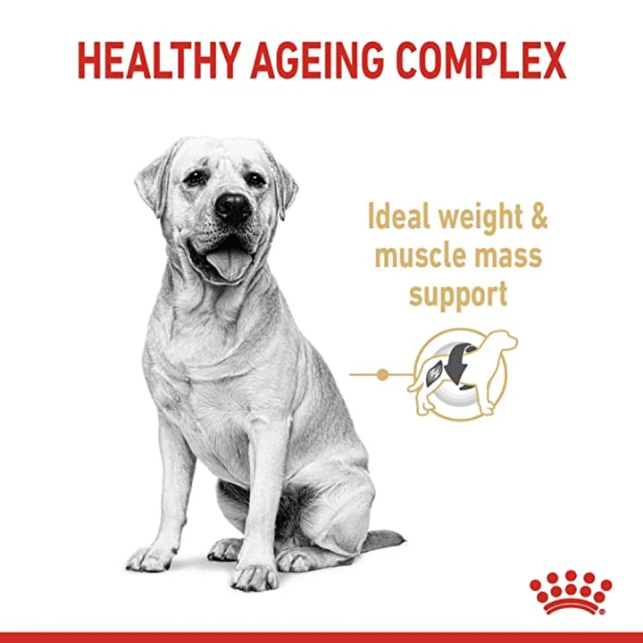 Royal Canin Labrador Retriever 5+ Years Adult Dry Dog Food - 3kg