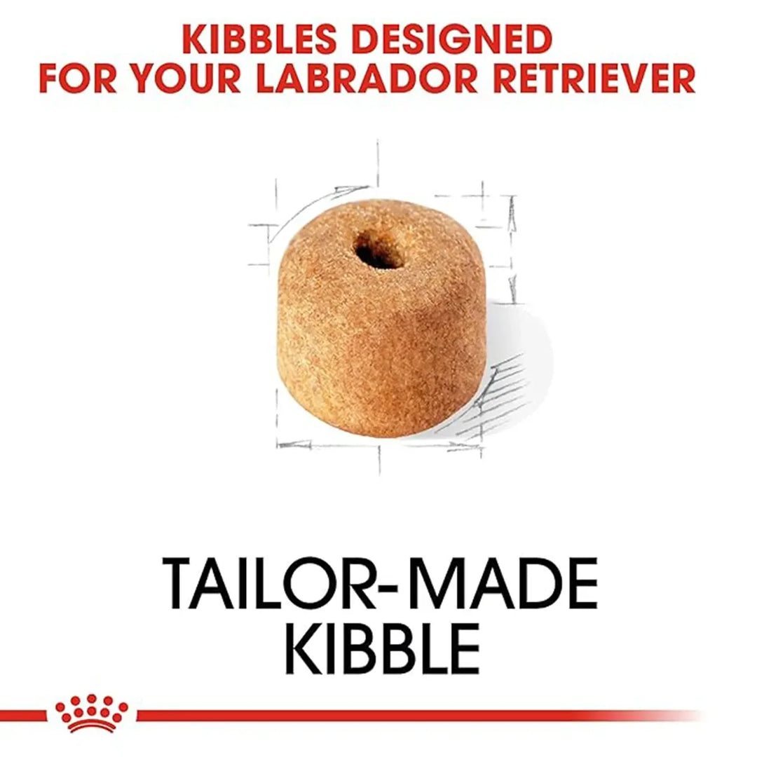 Royal Canin tailor-made kibble designed for Labrador Retrievers, available on Zigly.