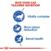 Royal Canin Indoor 7+ Years Dry Cat Food - All Breed Adult - 3.5kg - Zigly