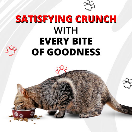 luvin-artisanally-baked-dry-cat-food-1-5kg