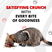 luvin-artisanally-baked-dry-cat-food-1-5kg