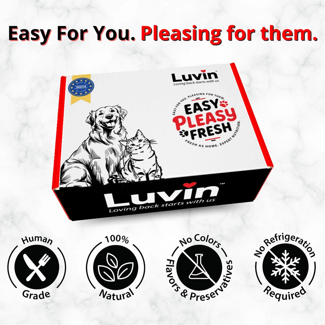luvin-chicken-bone-broth-for-dogs-80ml-pack-of-6