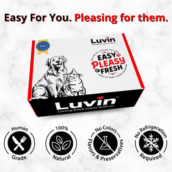 luvin-chicken-bone-broth-for-cats-80ml-pack-of-6