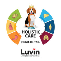 Luvin Chicken Bone Broth for Cats – 80ml (Pack of 6)