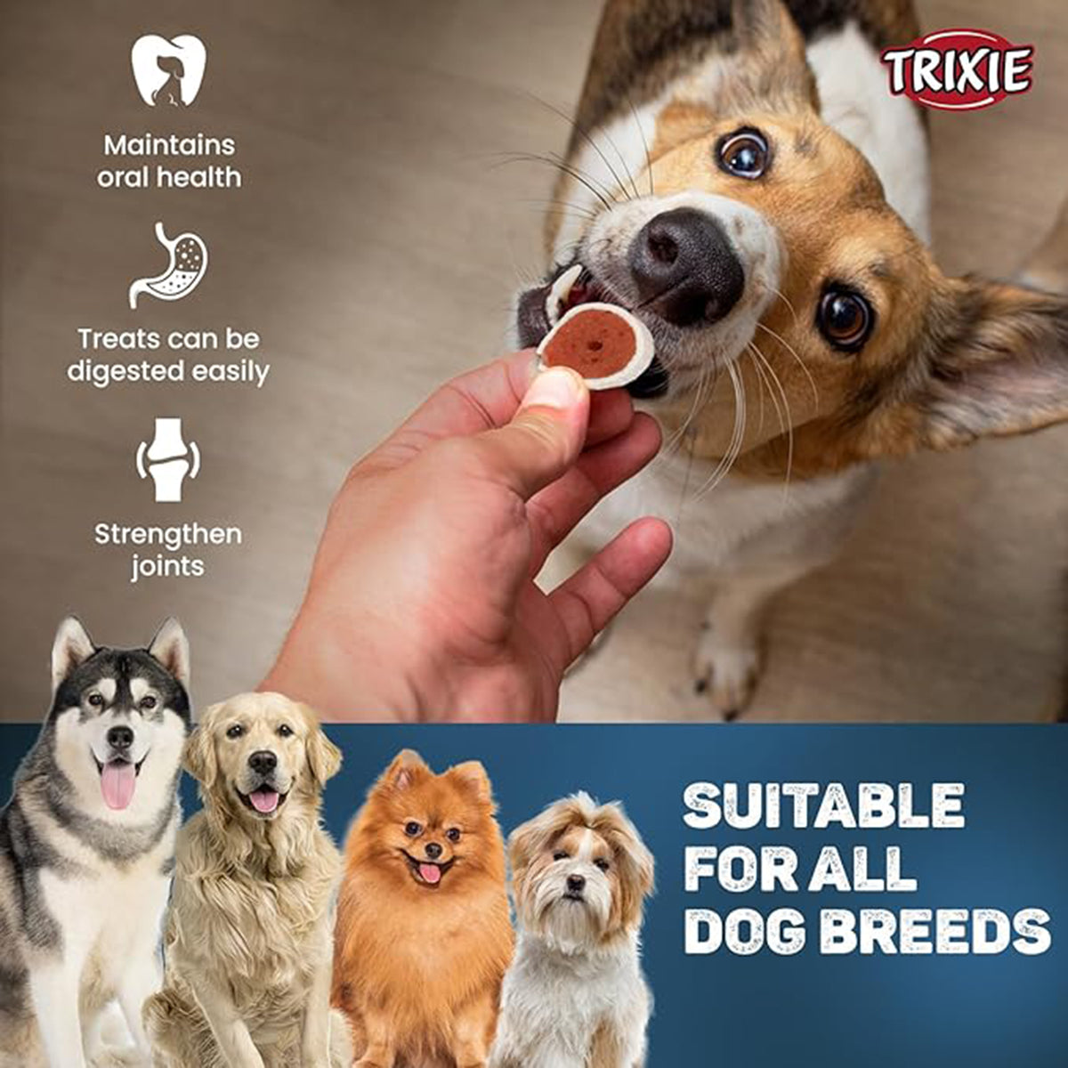 Trixie Premio Fish Chicken Rolls Dog Treat - 75g