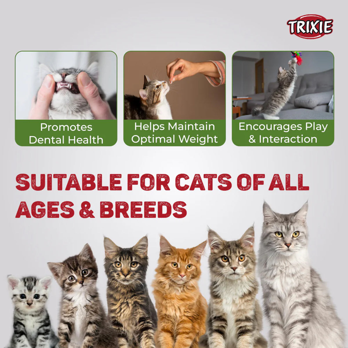Trixie Premio Chicken Mini Sticks Cat Treat - 50g